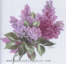Lilacs for Square